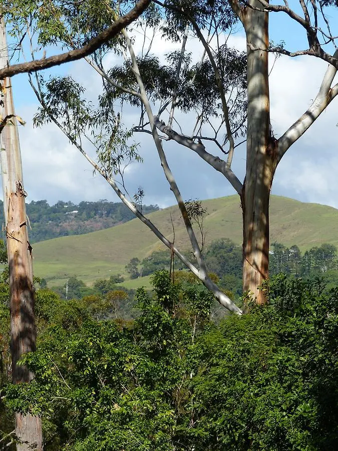 Eudlo Forest Retreat 호텔